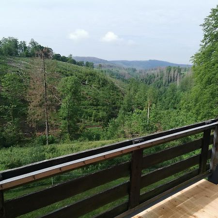 Apartamento Harz-Butze Sankt Andreasberg Exterior foto