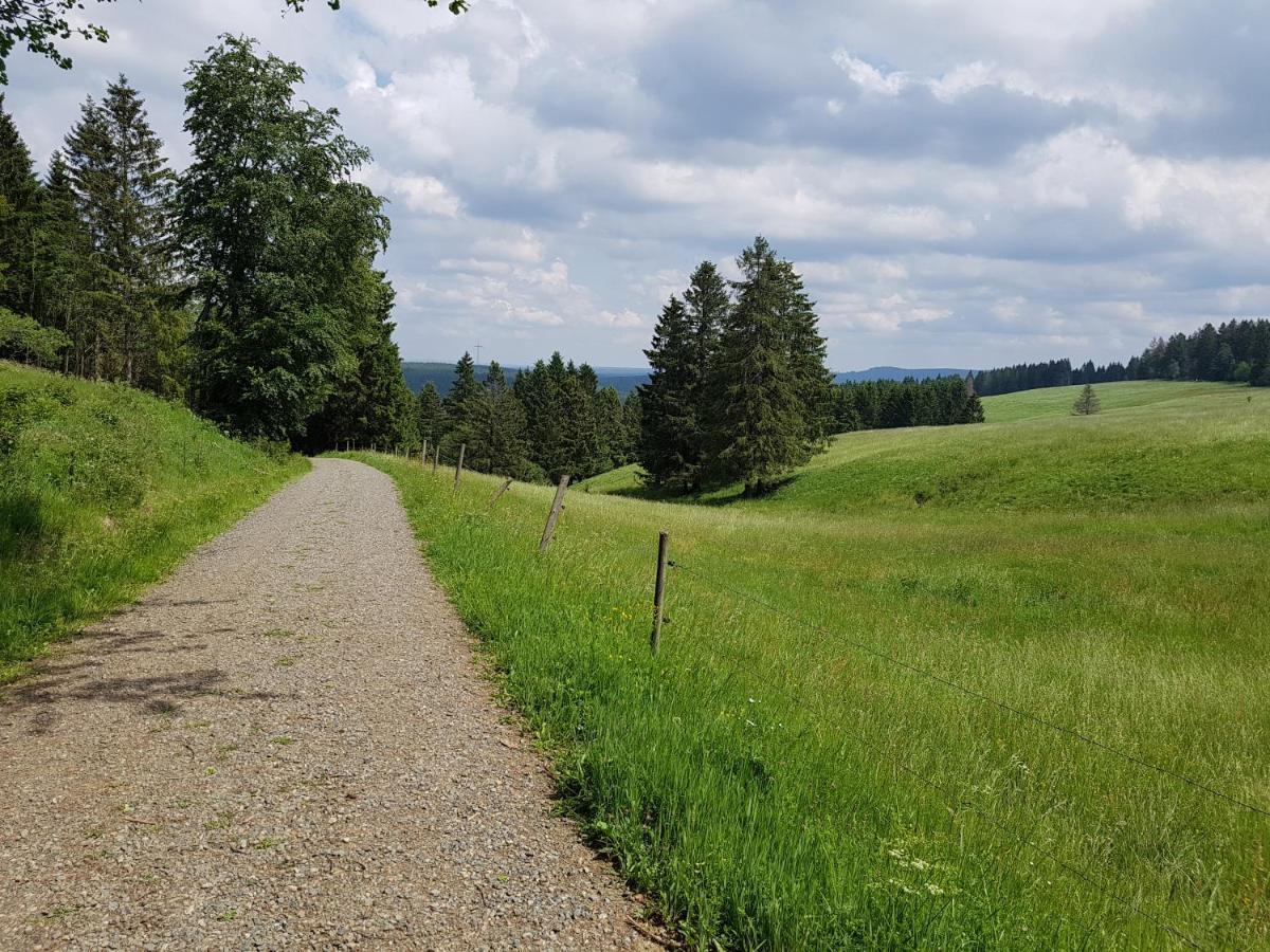 Apartamento Harz-Butze Sankt Andreasberg Exterior foto